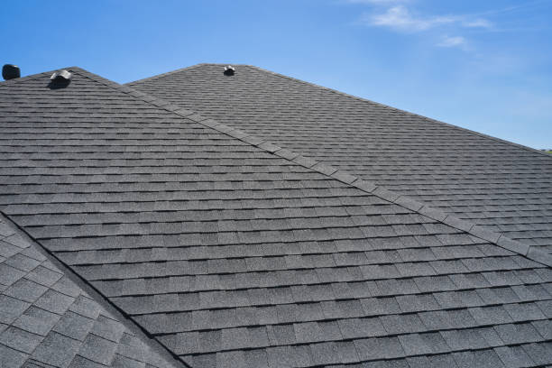 Best Roof Maintenance and Cleaning  in Savannah, GA